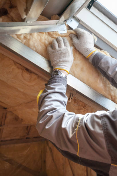 Best Insulation Contractor Near Me  in Wilton Manors, FL